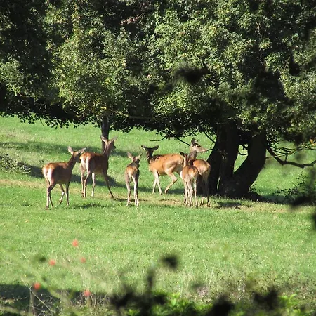 La De Lorelei Holiday home *