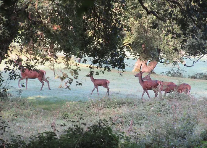 Dom wakacyjny La De Lorelei